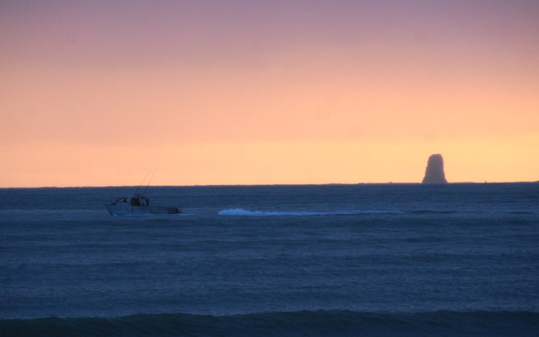 Friday Flash 30.06.23