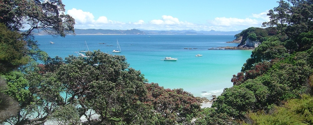 Open Tournament – Update