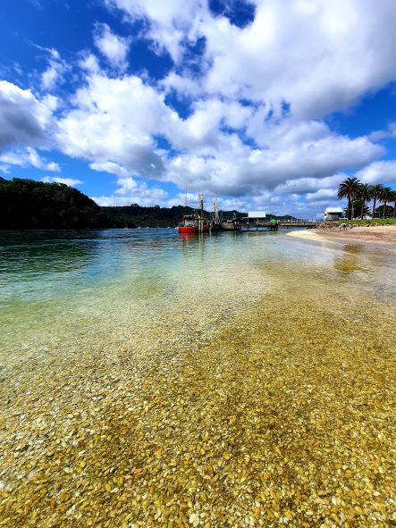 Friday Flash News Whitianga Harbour View