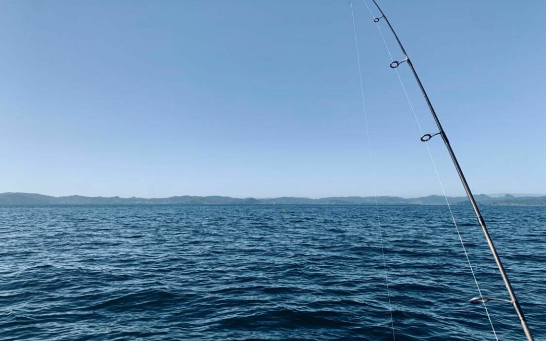 Friday Flash 1.12.22