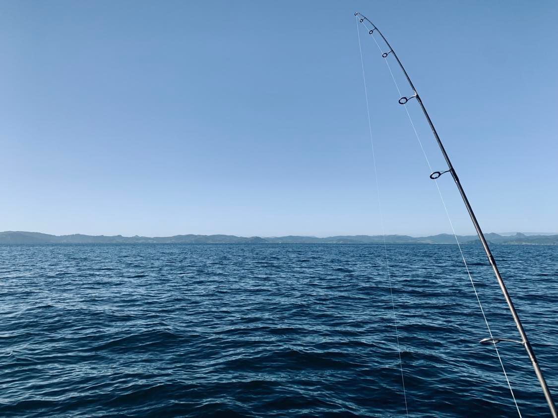 Waikato Regional Coastal Plan Review