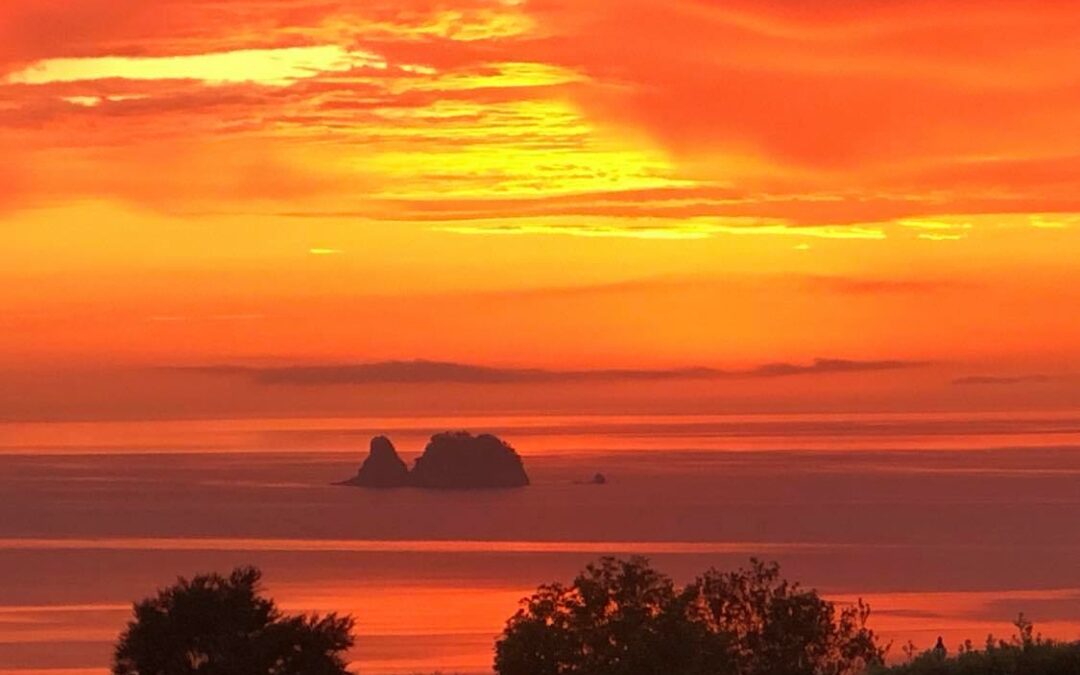 Friday Flash 25.11.22