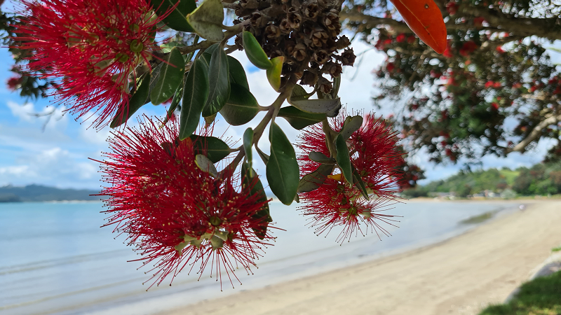 Friday Flash 19.08.22