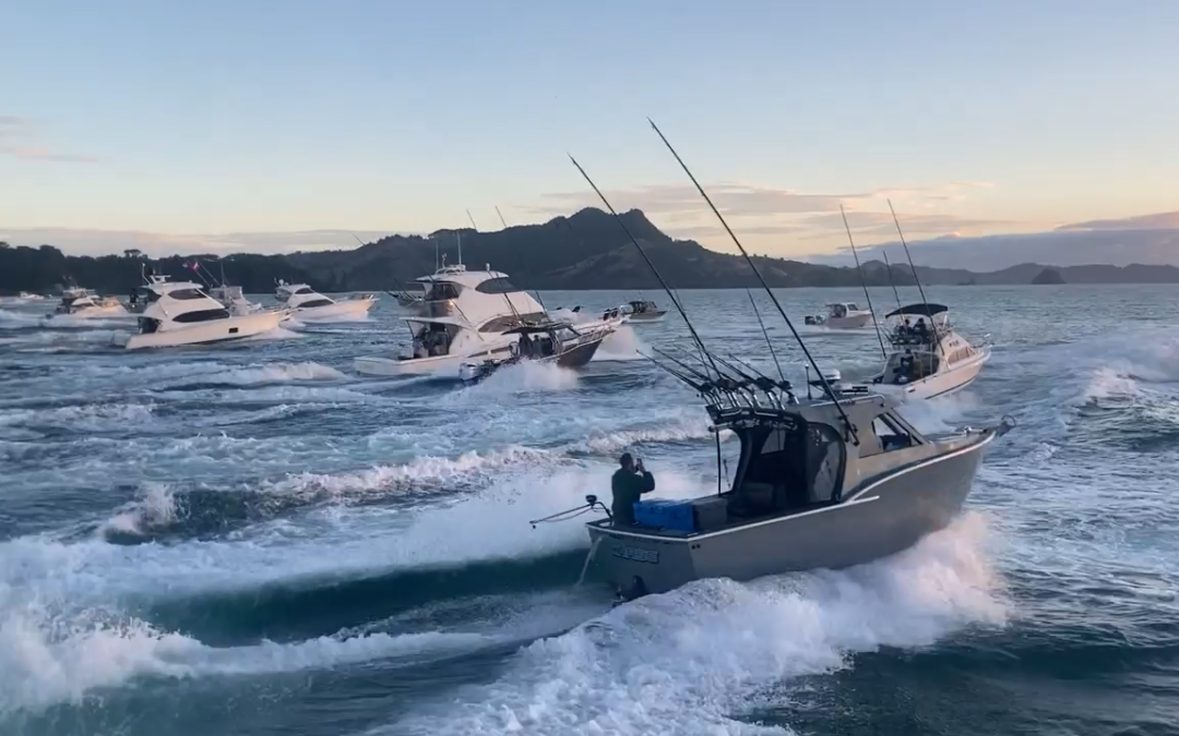 Friday Flash 28th January, 2022