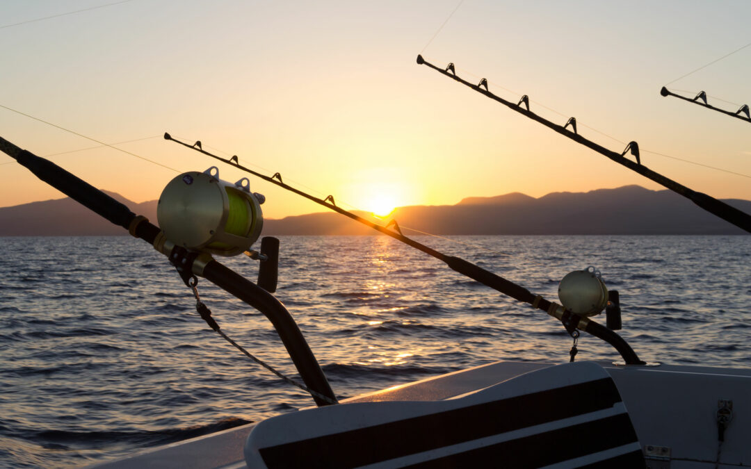 Friday Flash 21.10.22