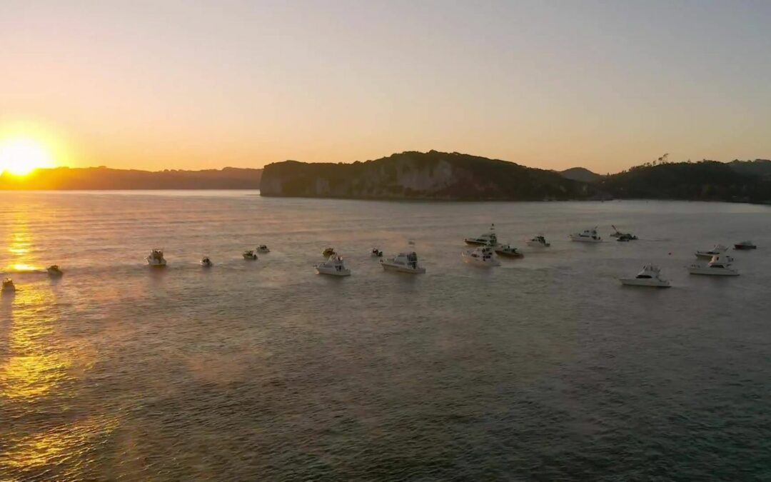 Submission to Conservation