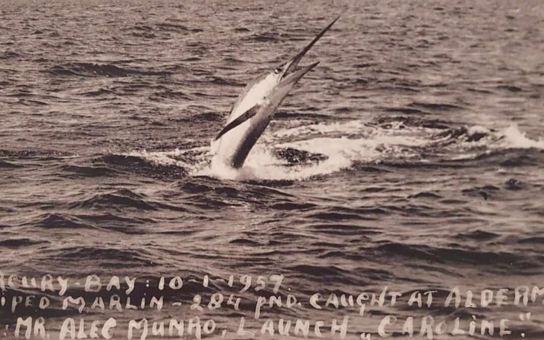 Friday Flash 25.02.22