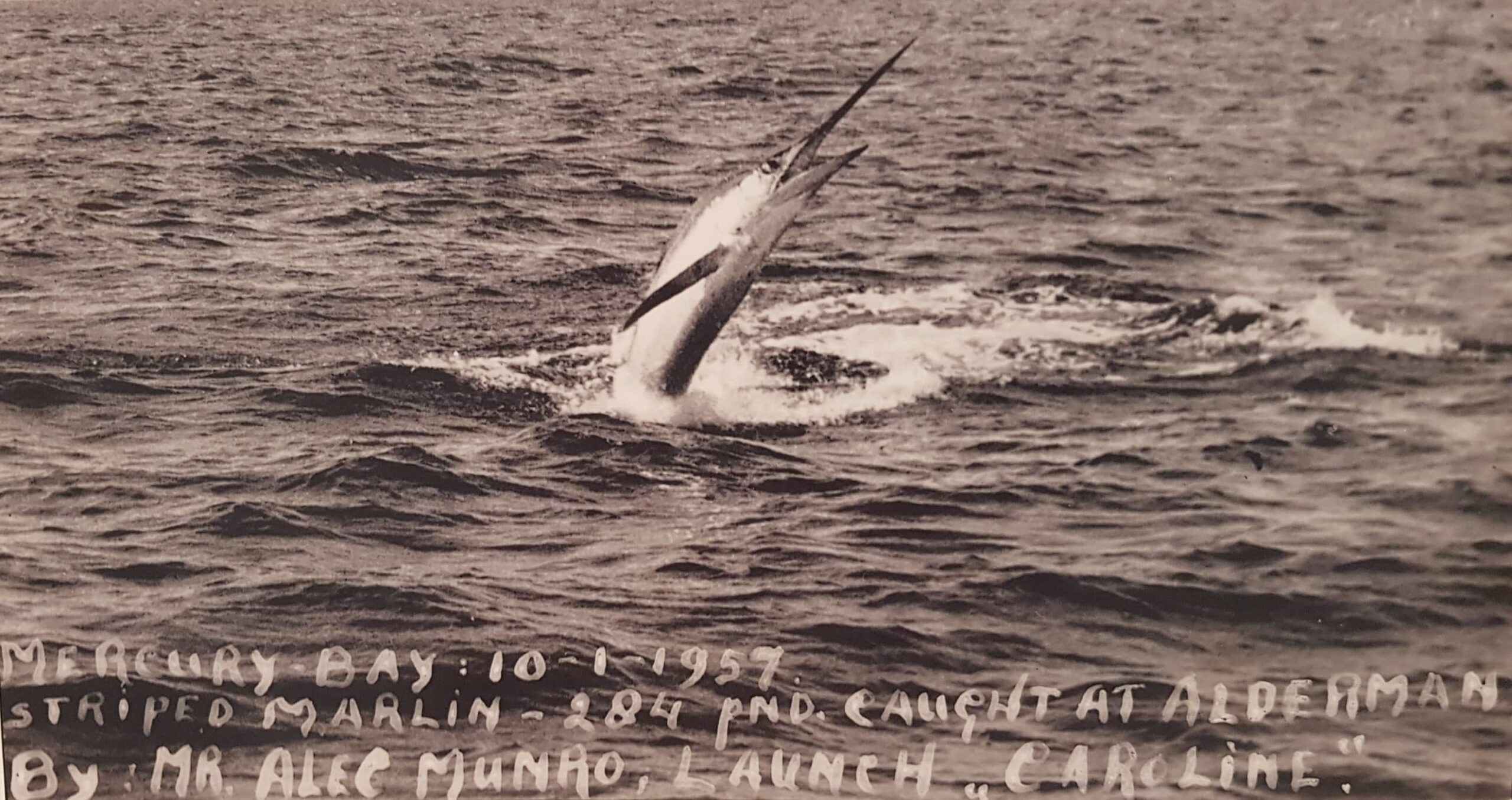 Mercury Bay Game Fishing Club History Photo- 13