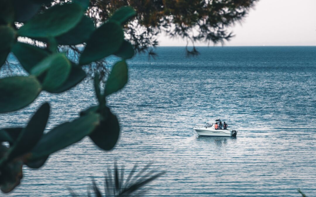 Friday Flash 20th August