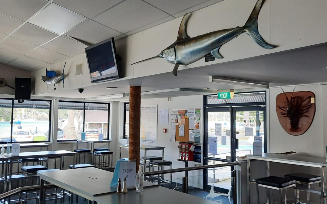 Tuesday Flash 19.12.23