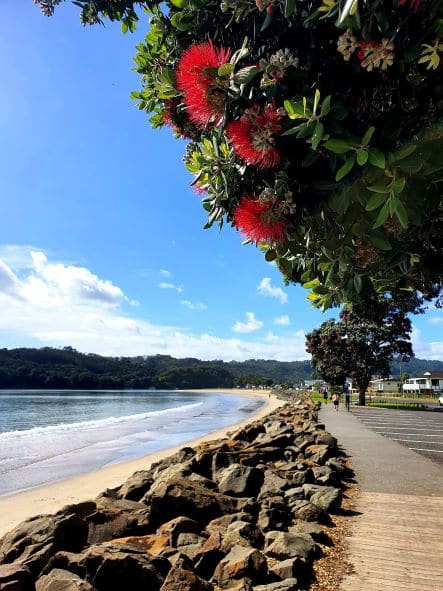 Friday Flash 24.03.23