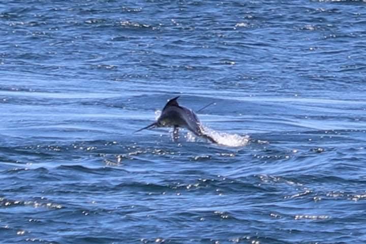 Friday Flash 24.02.23