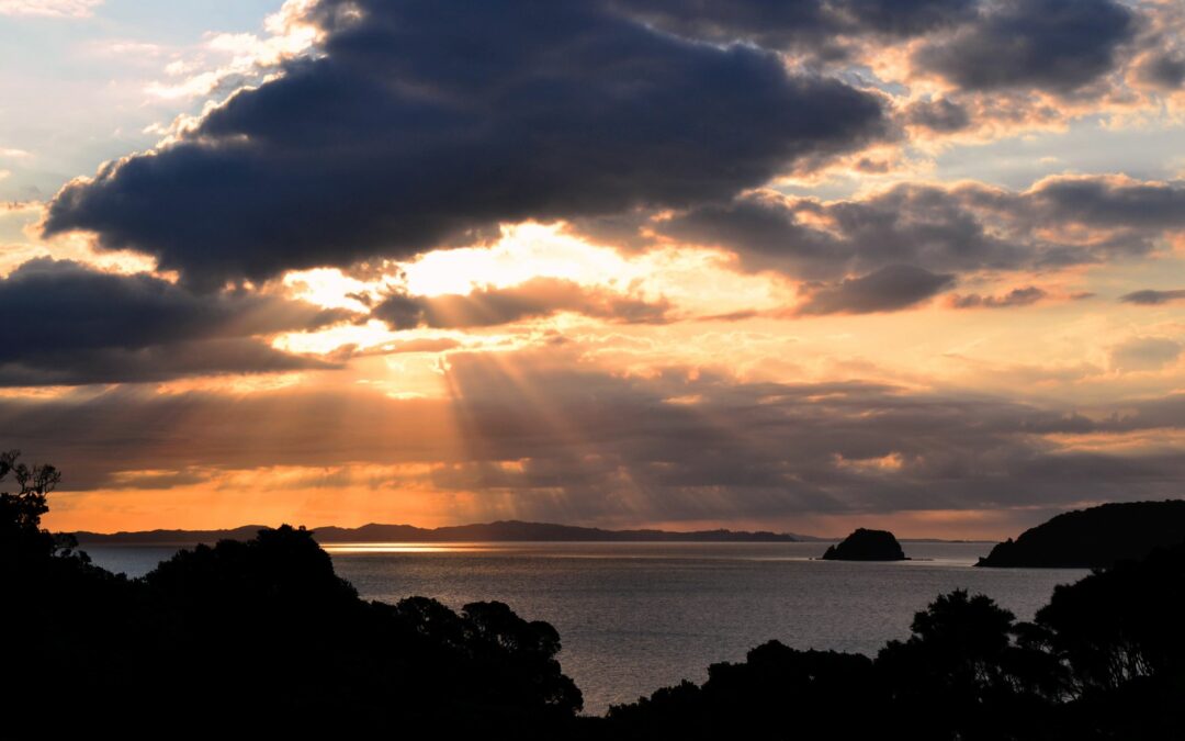 Friday Flash 13.01.23